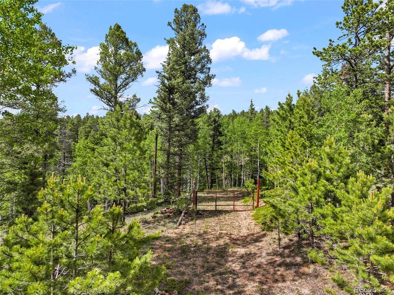 65 Spruce Creek Rd, Divide, CO 80814