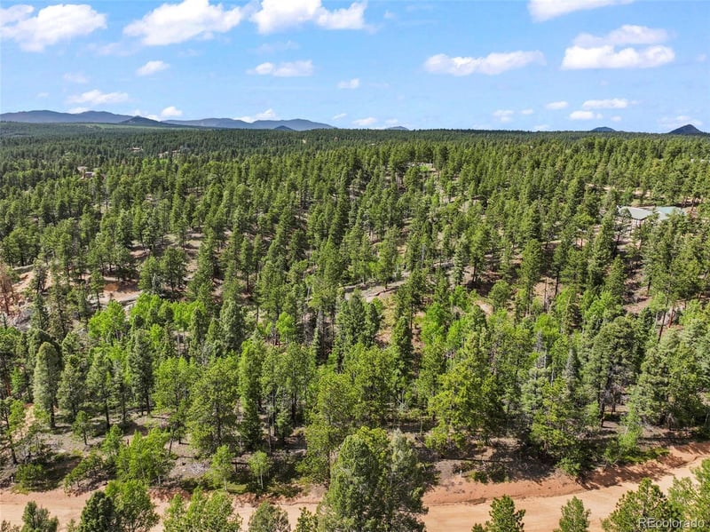 65 Spruce Creek Rd, Divide, CO 80814