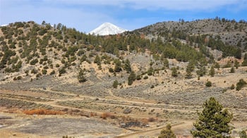 7770 Lewis Smith Rd, Fort Garland, CO 81133