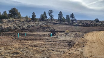 7770 Lewis Smith Rd, Fort Garland, CO 81133