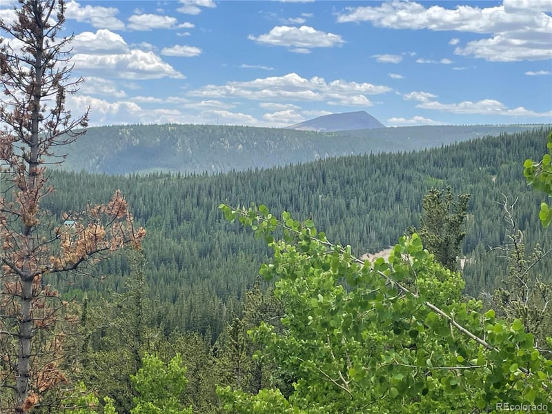 847 County Road 787, Alma, CO 80420