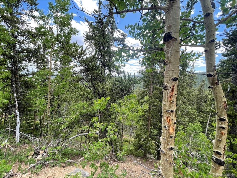 847 County Road 787, Alma, CO 80420