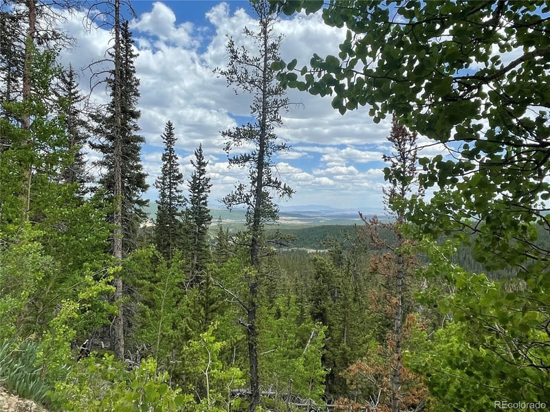 847 County Road 787, Alma, CO 80420