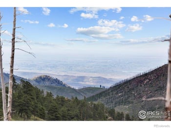 Tip Top Rd, Bellvue, CO 80512