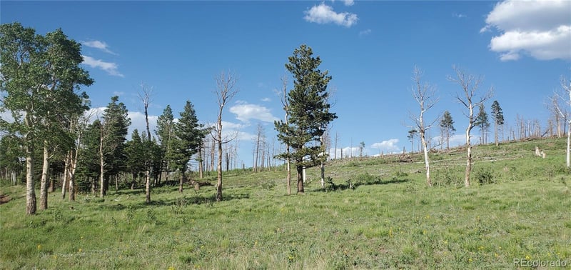 Lot 2120 Sigler Dr Lot 2120, Fort Garland, CO 81133