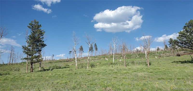 Lot 2120 Sigler Dr Lot 2120, Fort Garland, CO 81133