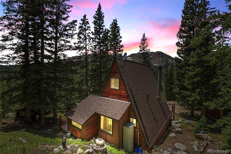 58 Goldfinch Pl, Alma, CO 80420