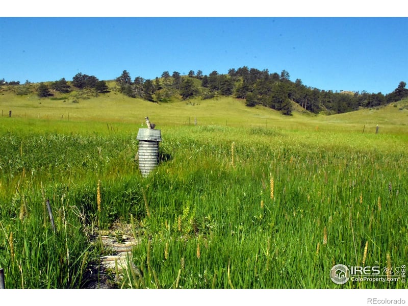 1364 Red Bluff Rd, Livermore, CO 80536