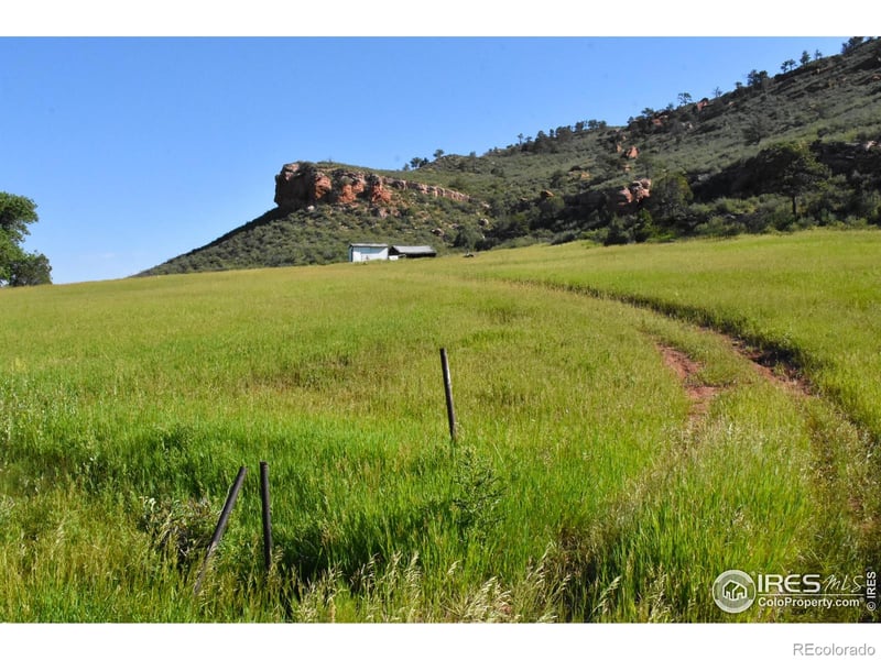 1364 Red Bluff Rd, Livermore, CO 80536