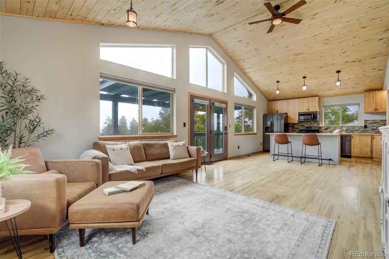 163 Big Horn Ln, Florissant, CO 80816