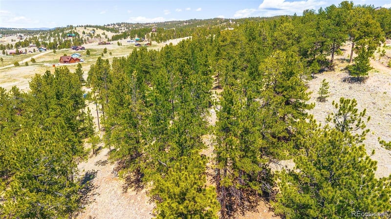 56 Dallas Park Cir, Florissant, CO 80816
