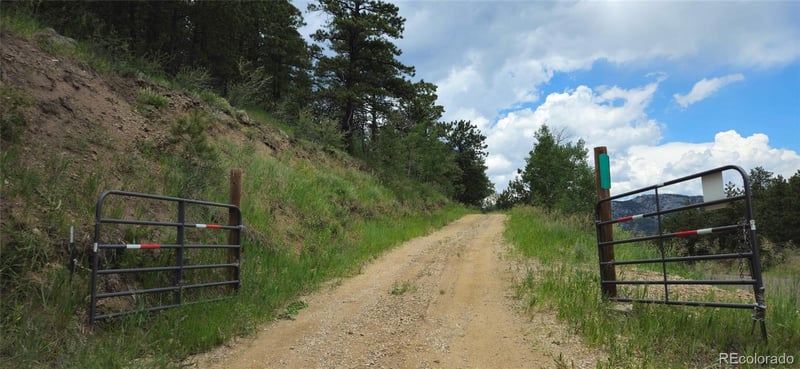8077 Drew Hill Rd, Golden, CO 80403