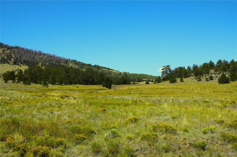 State 9 Hw, Guffey, CO 80820