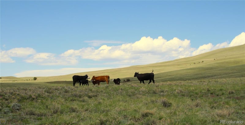 State Hw, Guffey, CO 80820