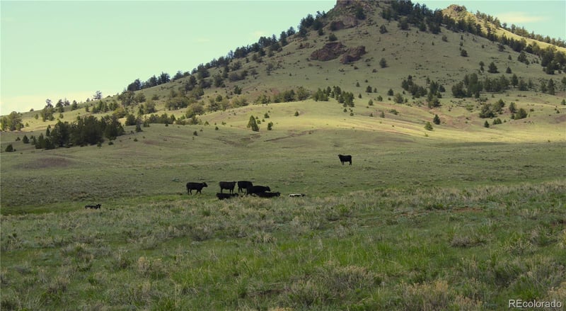 State Hw, Guffey, CO 80820