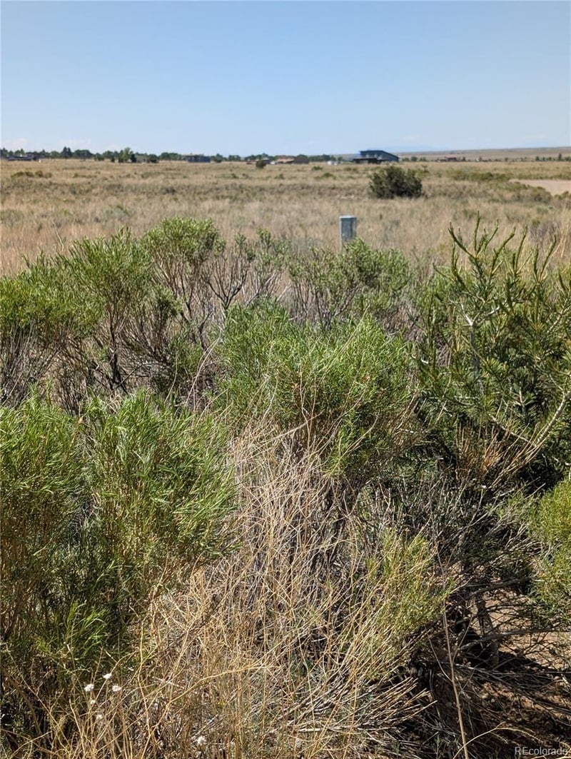 2619 Carefree Way Lot 2619, Crestone, CO 81131
