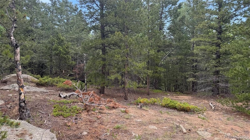 007 Virginia Canyon Rd Lot N002895, Central City, CO 80427