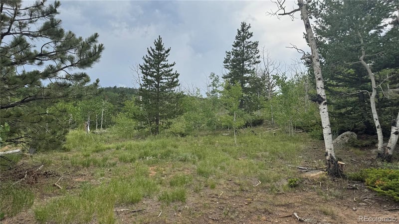007 Virginia Canyon Rd Lot N002895, Central City, CO 80427