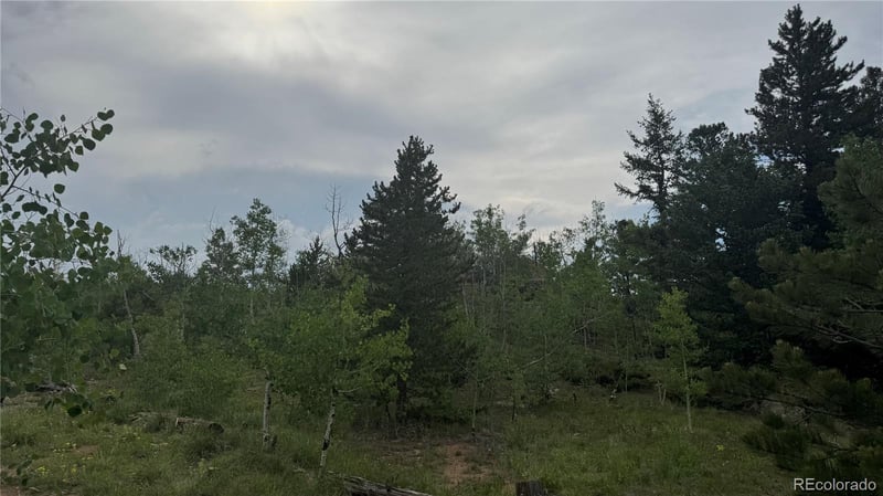 007 Virginia Canyon Rd Lot N002895, Central City, CO 80427