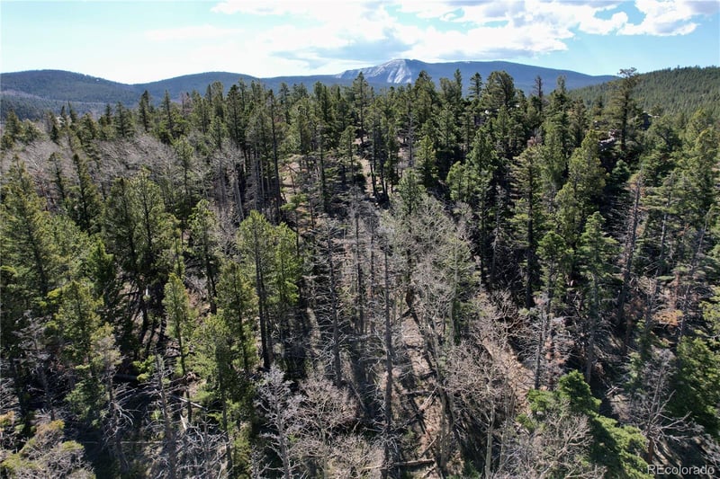 2966 Kemper Loop, Fort Garland, CO 81133