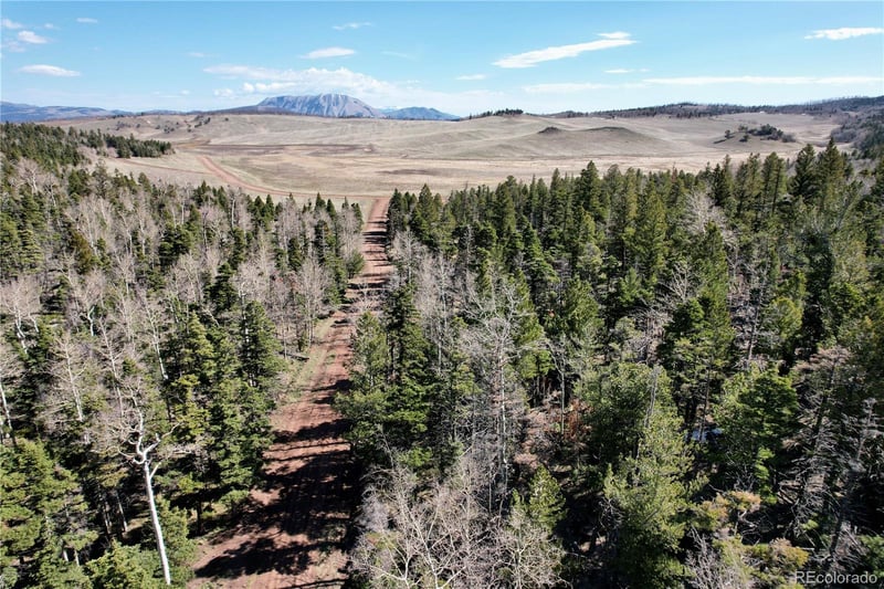 2966 Kemper Loop, Fort Garland, CO 81133