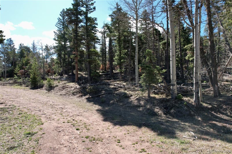 2966 Kemper Loop, Fort Garland, CO 81133