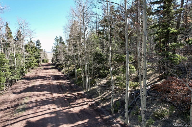 2966 Kemper Loop, Fort Garland, CO 81133