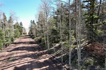 2966 Kemper Loop, Fort Garland, CO 81133