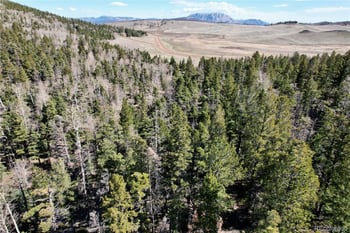 2966 Kemper Loop, Fort Garland, CO 81133