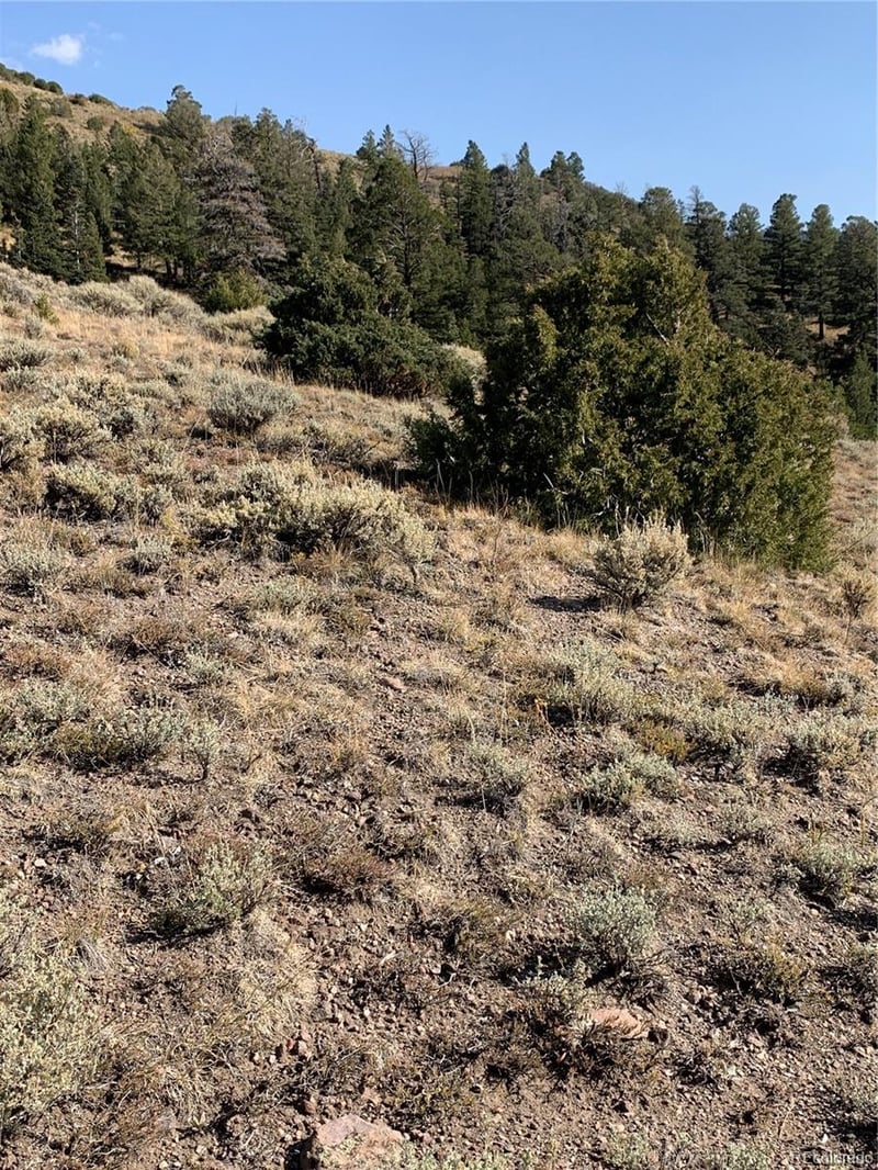 5079-5087 Delancey Rd, Fort Garland, CO 81133