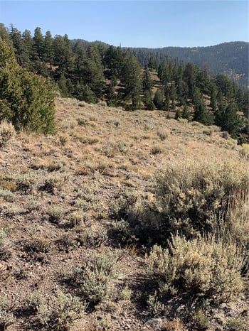 5079-5087 Delancey Rd, Fort Garland, CO 81133