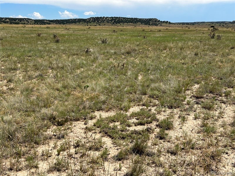 Lot 4 Outback Ranch Lot 4, Model, CO 81059