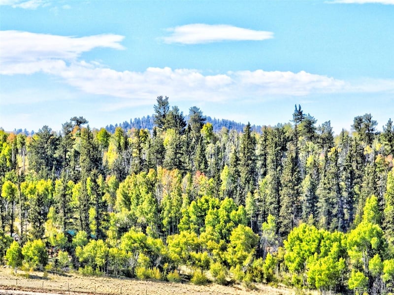 900 Remington Rd, Como, CO 80456