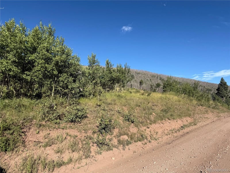 Lot 775 Forbes Park Rd, Fort Garland, CO 81133