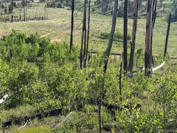 Lot 775 Forbes Park Rd, Fort Garland, CO 81133
