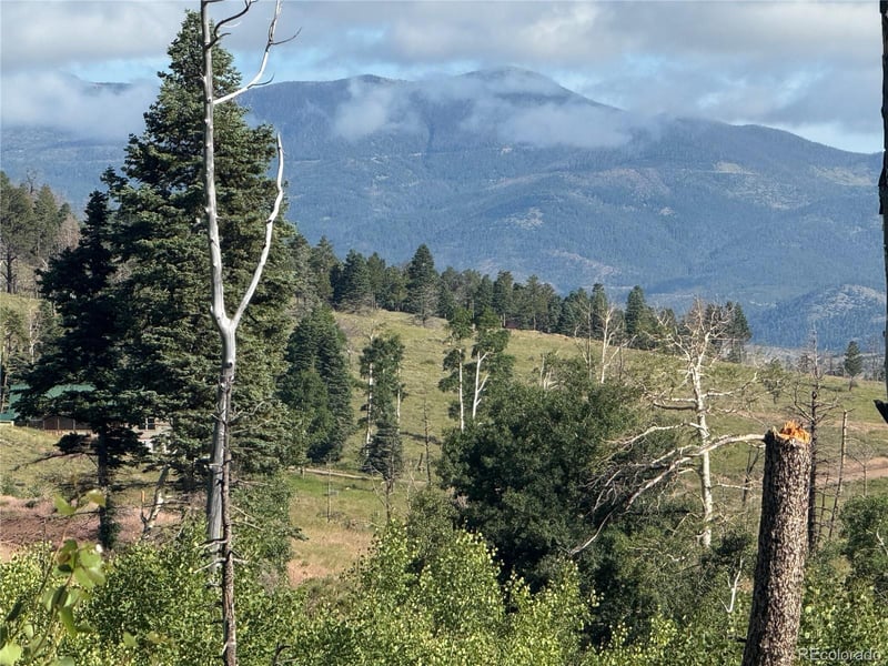 Lot 775 Forbes Park Rd Lot 775, Fort Garland, CO 81133