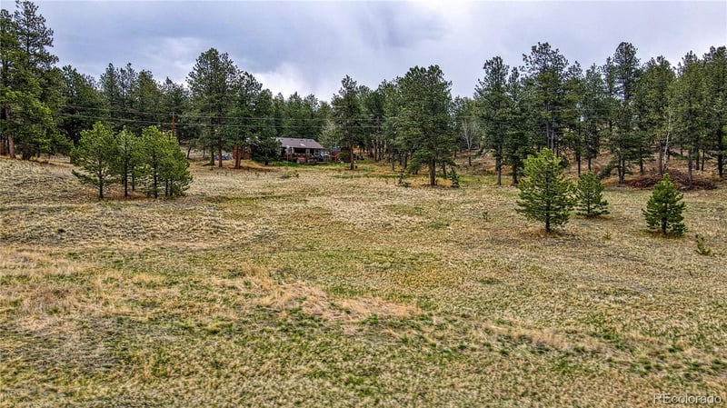 188 High Pasture Rd, Florissant, CO 80816