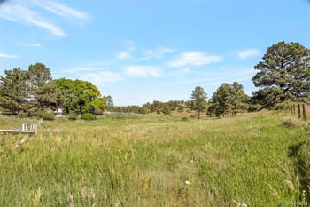 10461 Black Forest Dr, Parker, CO 80138