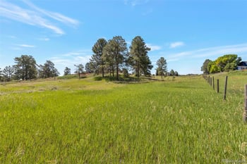 10461 Black Forest Dr, Parker, CO 80138