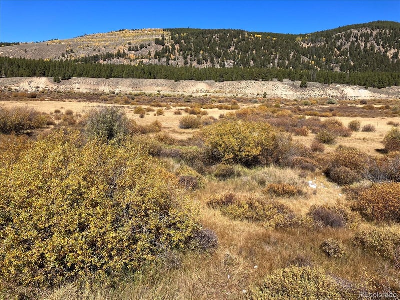 Leadville Land, Leadville, CO 80461