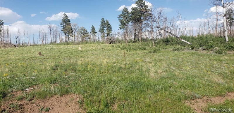 Lot 1406 Emery Loop, Fort Garland, CO 81133