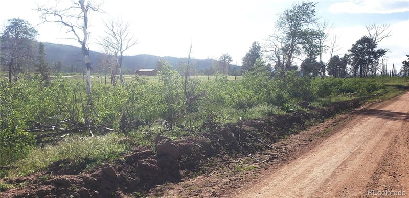 Lot 1406 Emery Loop Lot 1406, Fort Garland, CO 81133