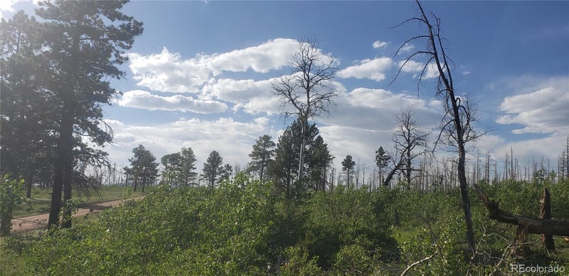 Lot 1406 Emery Loop Lot 1406, Fort Garland, CO 81133