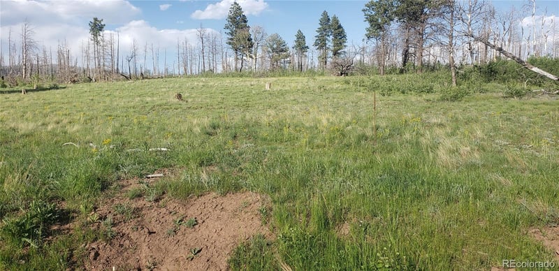 Lot 1406 Emery Loop Lot 1406, Fort Garland, CO 81133