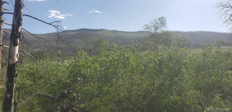 Lot 1406 Emery Loop Lot 1406, Fort Garland, CO 81133