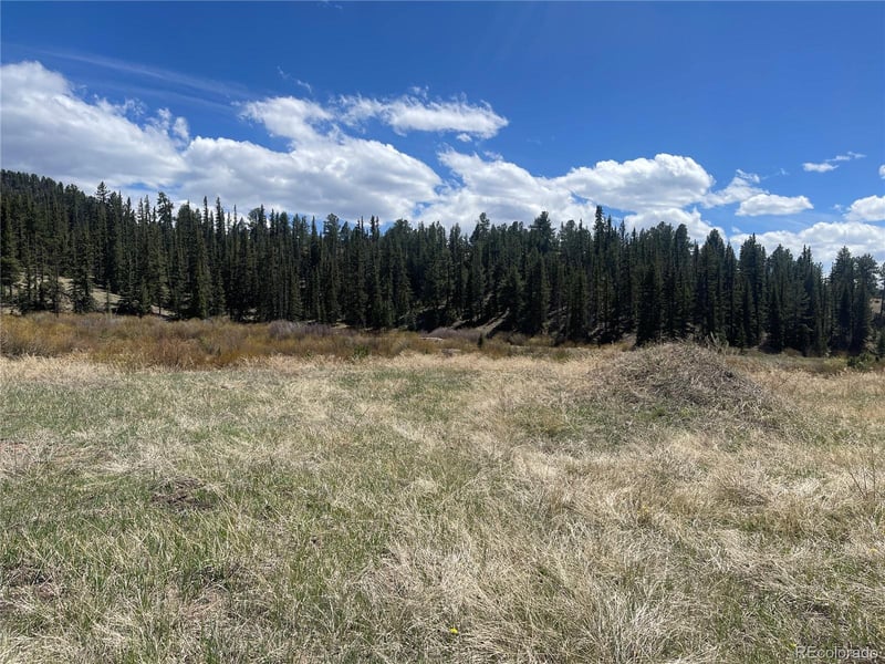 00 Wildhorn Rd, Florissant, CO 80816