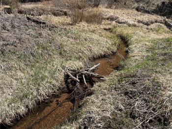 00 Wildhorn Rd, Florissant, CO 80816