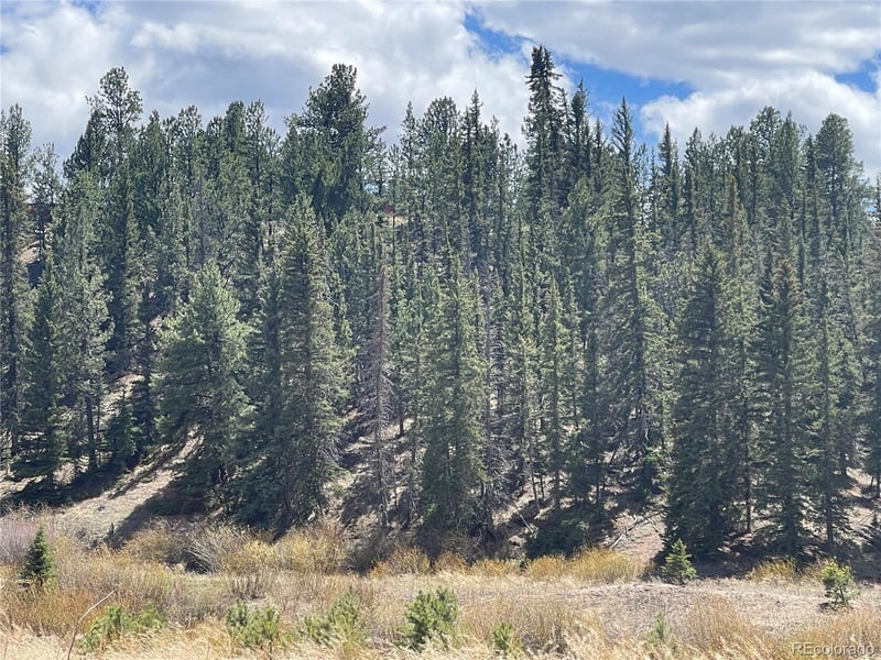 00 Wildhorn Rd, Florissant, CO 80816