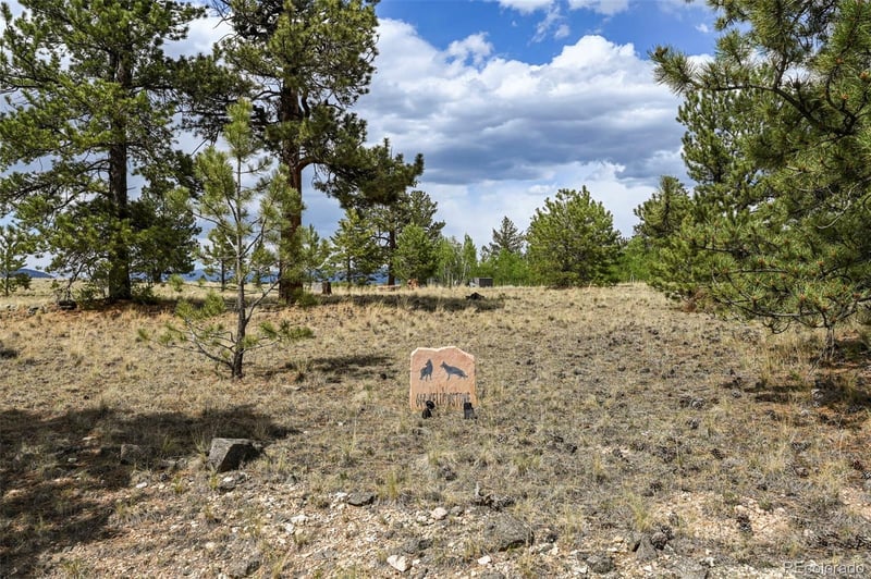 614 Yellowstone Rd, Hartsel, CO 80449