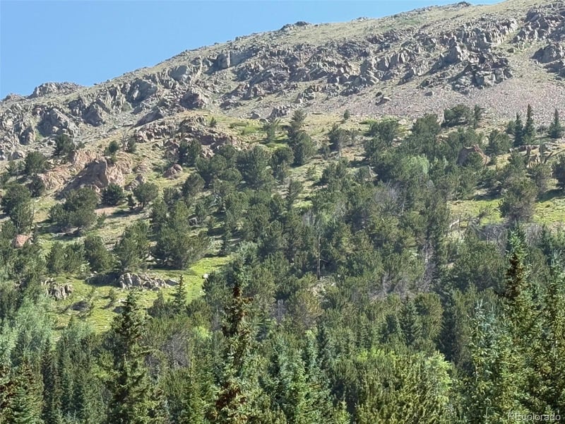 3802 Fourth Of July Rd, Nederland, CO 80466